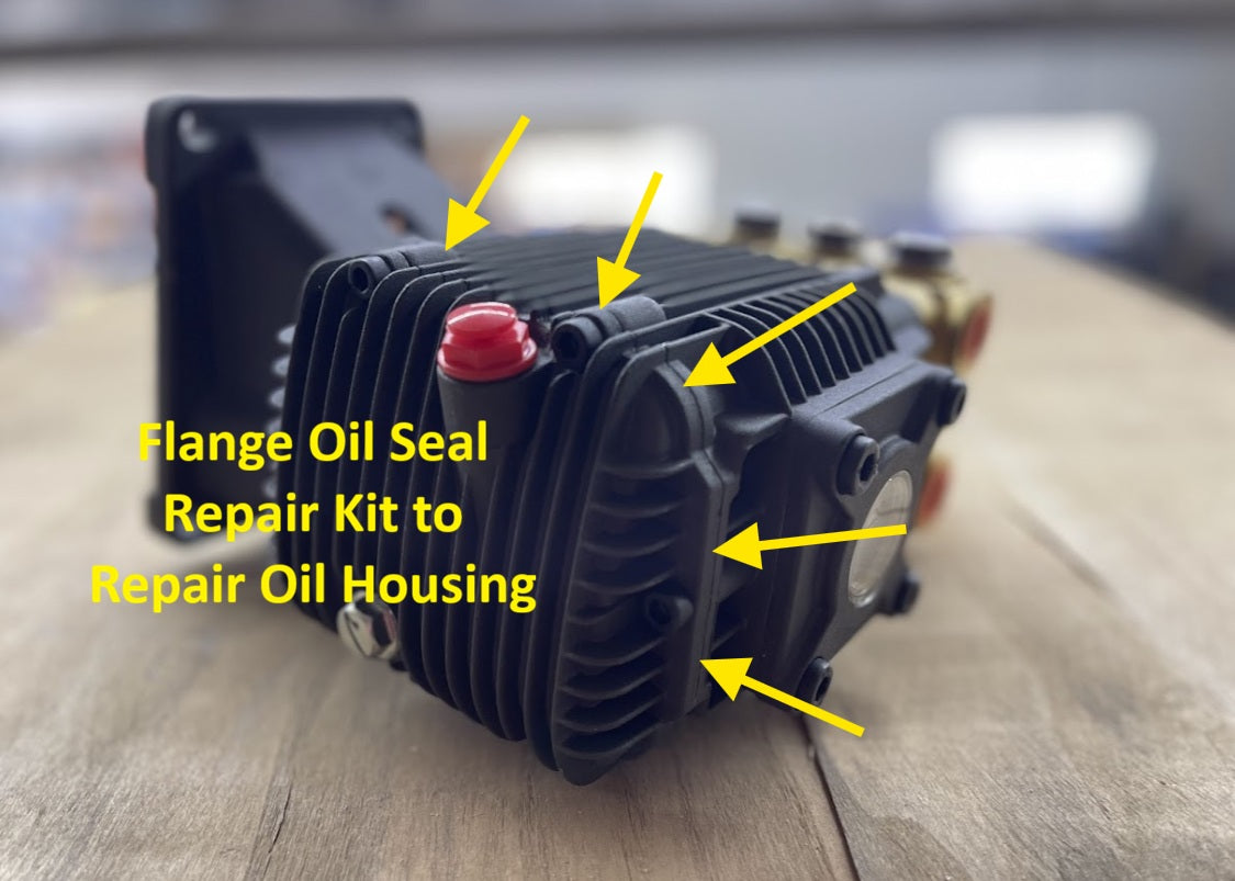 Flange Oil Seal Repair Kit for EK Pumps